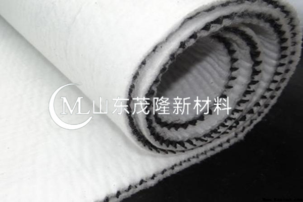 復合排水網廠家/三維復合排水網廠家 第3張