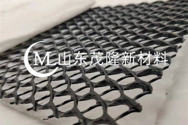復合土工排水網/復合三維排水網 第2張