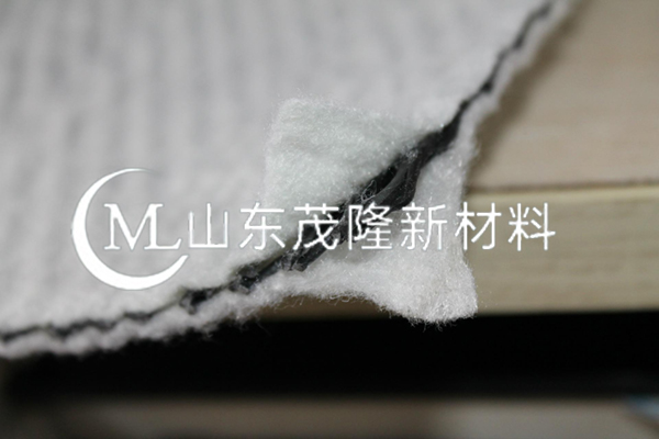 土工復(fù)合排水網(wǎng)/三維復(fù)合土工排水網(wǎng) 第1張