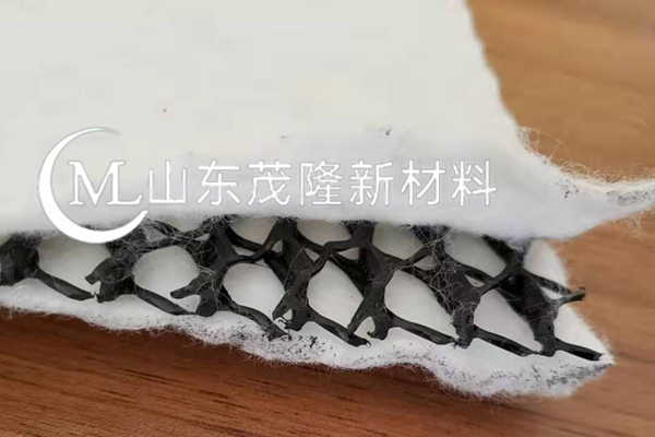土工復(fù)合排水網(wǎng)/三維復(fù)合土工排水網(wǎng) 第3張