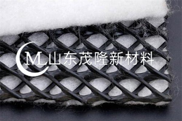 土工復(fù)合排水網(wǎng)/三維復(fù)合土工排水網(wǎng) 第5張