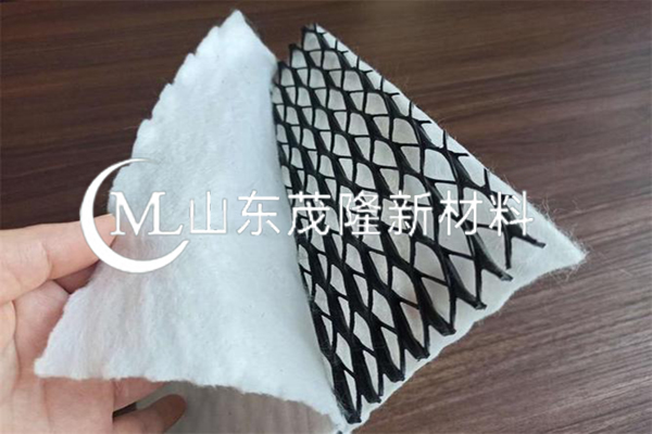 三維土工網(wǎng)/三維排水網(wǎng) 第5張